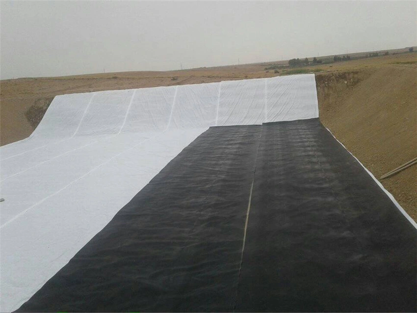 HDPE Geomembrane Waterproofing Pond Liner/Geogrid Road Construction Material/Building Material