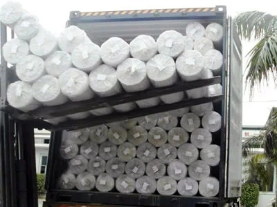 High Quality Fiberglass Mesh Grid Glass Fibre Geogrid for Road Reinforcement