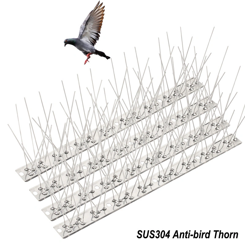 Pest Control Bird Spiker Grade Stainless Steel Made in China