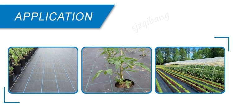 Wholesale Outdoor UV Protection PP Woven Garden Plastic Anti Grass Ground Cover Biodegradable Black Landscape Weed Mat