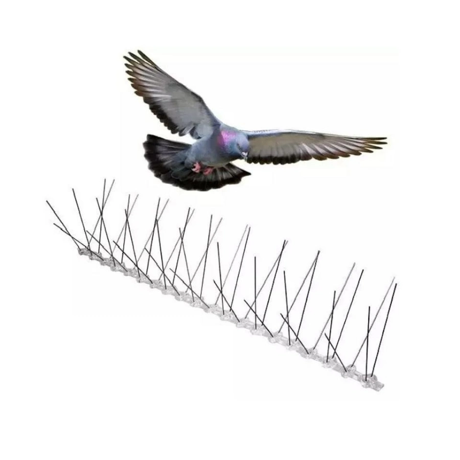 Pest Control Bird Spiker Grade Stainless Steel Made in China