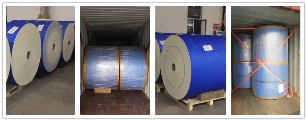 China Fiberglass Mat Glass Fiber Wall Facing Tissue for Insulation