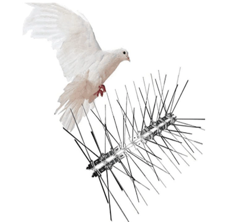 Pest Control Bird Spiker Grade Stainless Steel Made in China