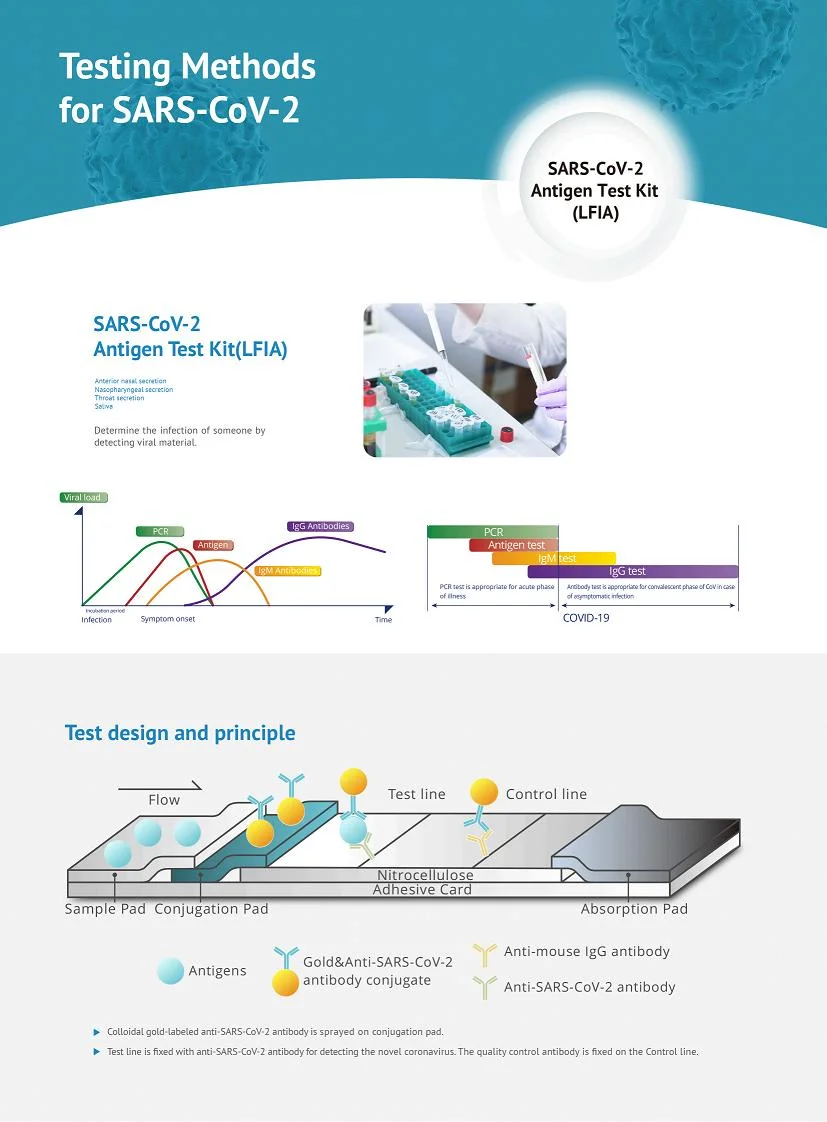 Laryngopharyngeal Fluid Collection Device One-Time Antigen Rapid Test Sampling Disposable Oral Swabs