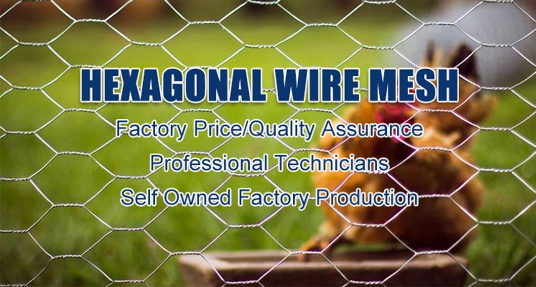 Hexagonal Polyester Fiber Tulle Mesh Net Fabric and Double Twist Hexagonal Wire Mesh Netting Galvanized Hexagonal Wire Mesh