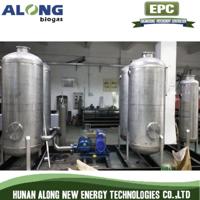 Skid Mounted Biogas De-Sulfur De-Dust De-Moisture System