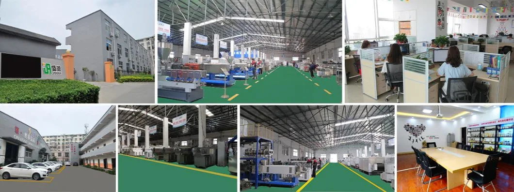 China Manufacturer Dog Chew Making Machine Extruder Dog Chews Production Line Plant