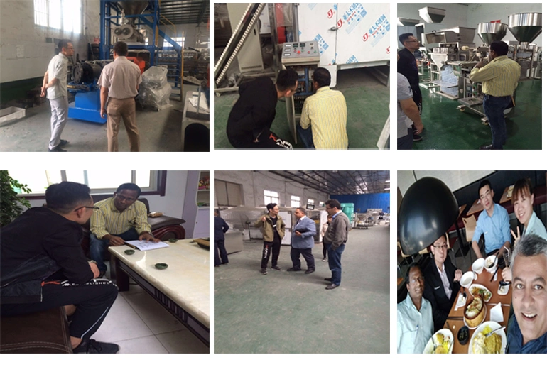 China Manufacturer Dog Chew Making Machine Extruder Dog Chews Production Line Plant