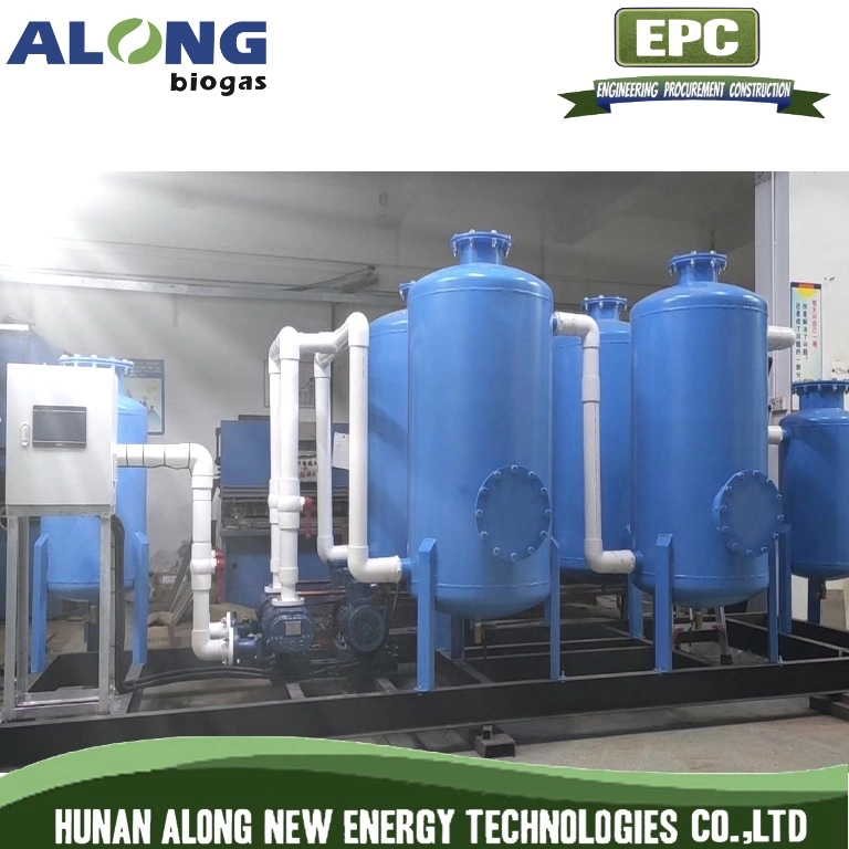 Skid Mounted Biogas Desulfurization H2s Purify Tank System