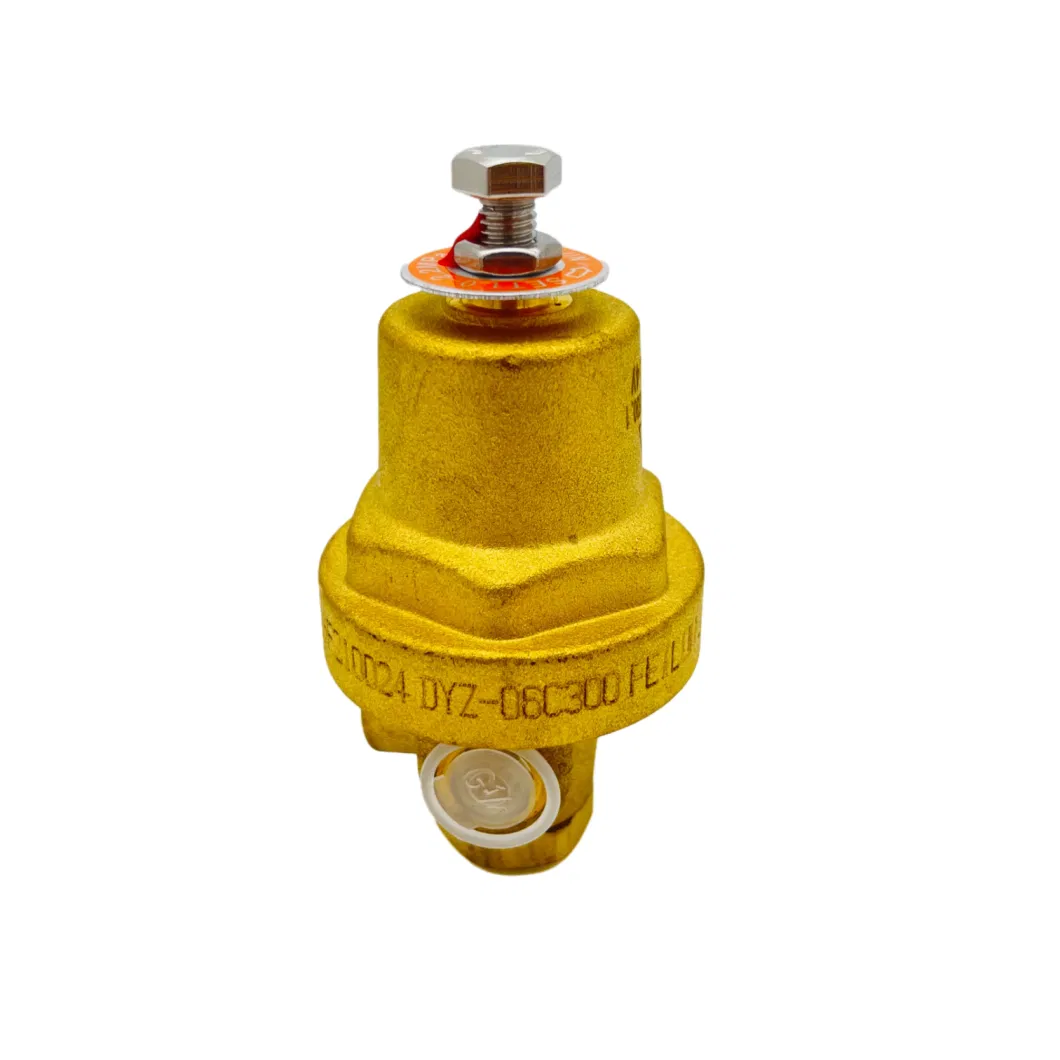 China Standard Manufactures Low-Temperature Ln2 Regulators