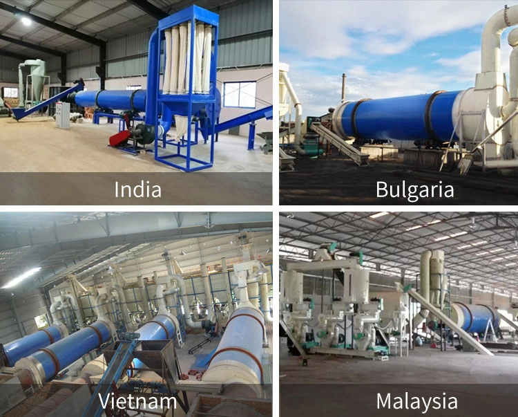 Biomass Palm Kernel Shell Pellet Plant for Malaysia