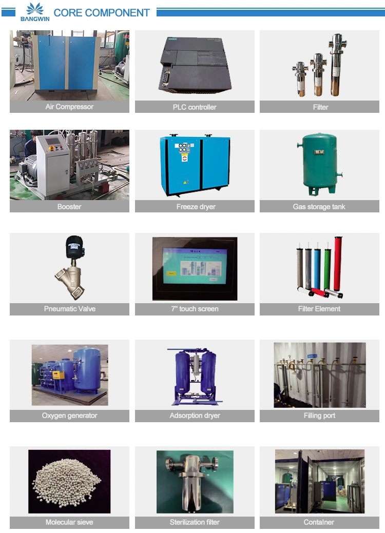 93% Psa Oxygen Plant High Purity Oxygen Filling System Skid-Mounted