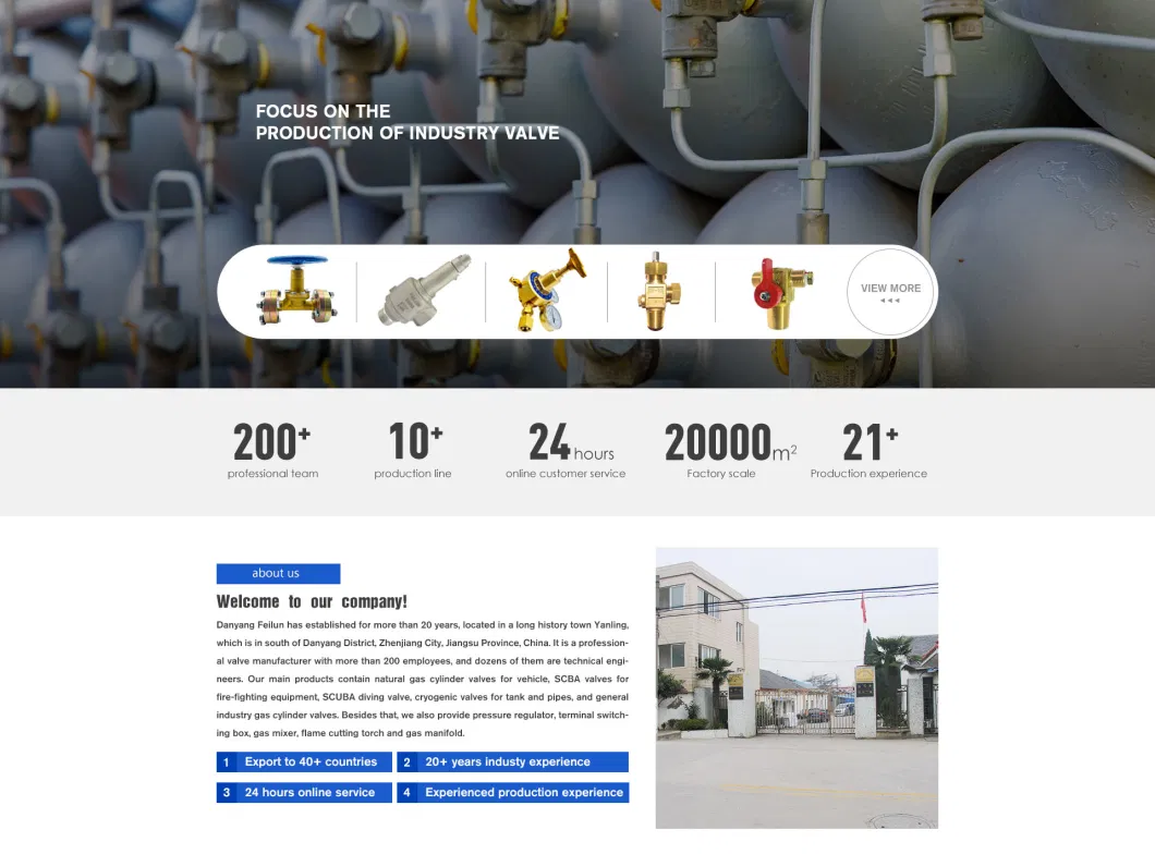 Stainless Steel Liquefied Nitrogen Temperature Regulators