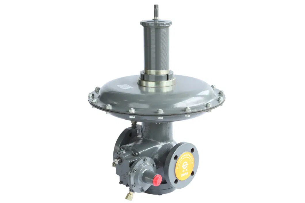 Pressure Reducing Gas Regulator for CNG Skid Mounted