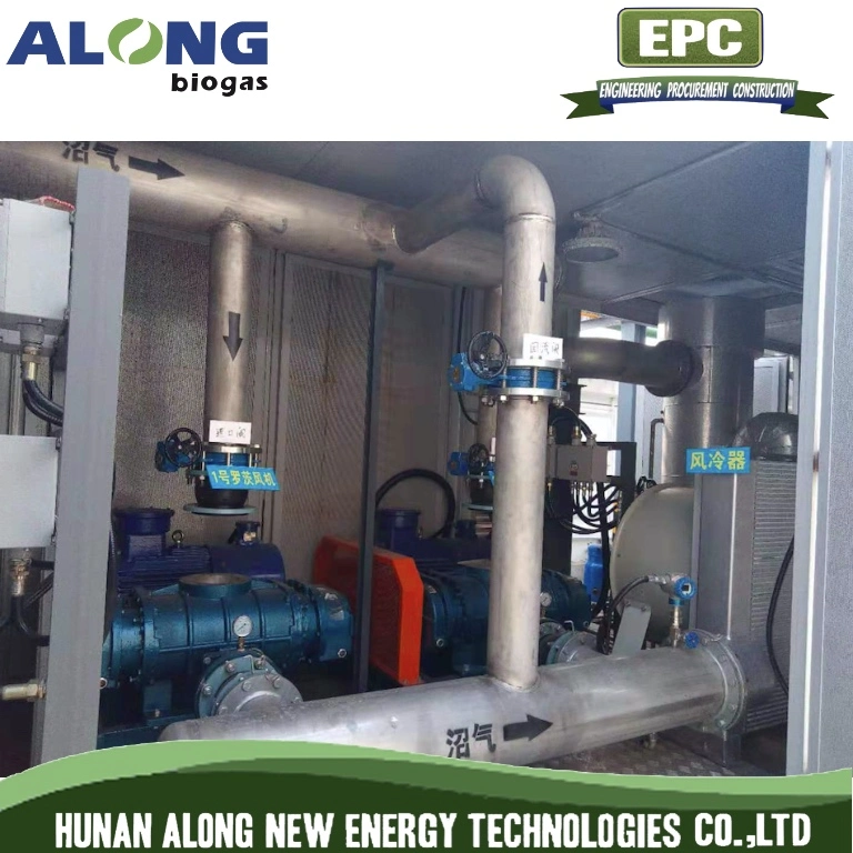 Biogas Membrane Separation System Purification to Natural Gas (CNG)