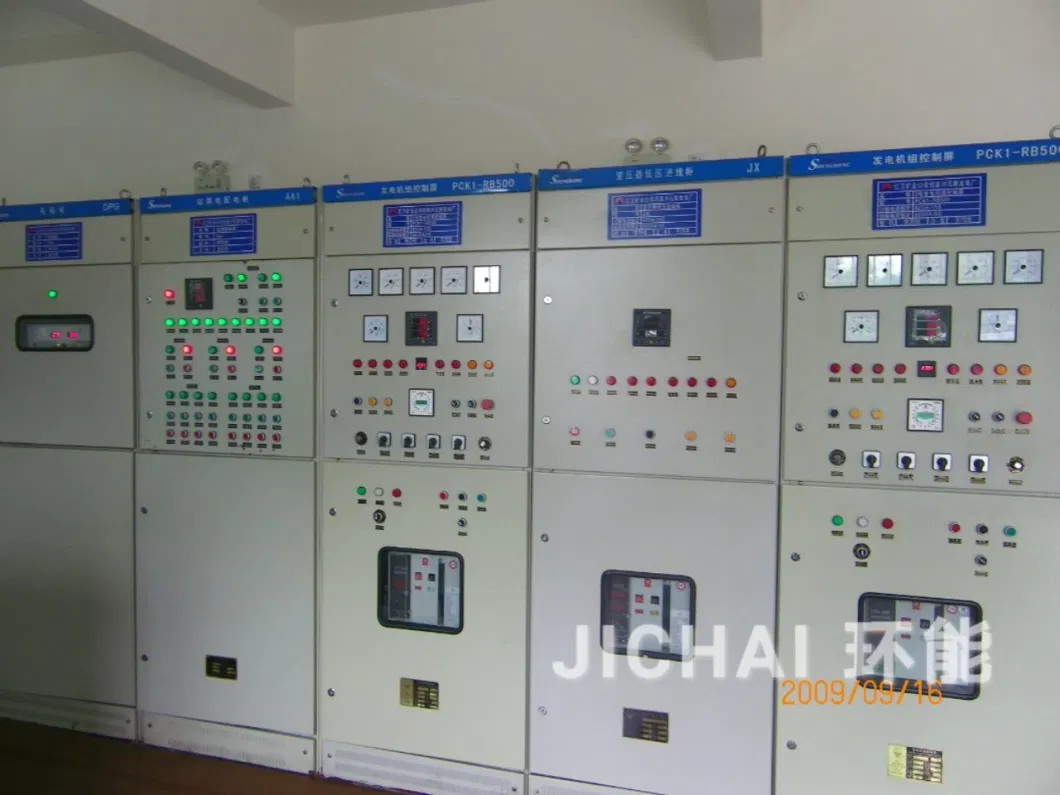 30kw 40kw 50kw Animal Waste Power Plant Station