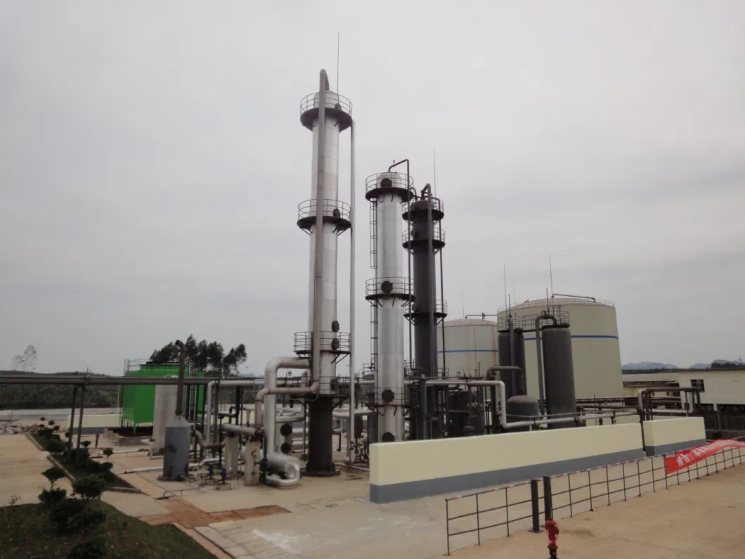 Biogas Remove Carbon to Natural Gas Purification/Upgrading System