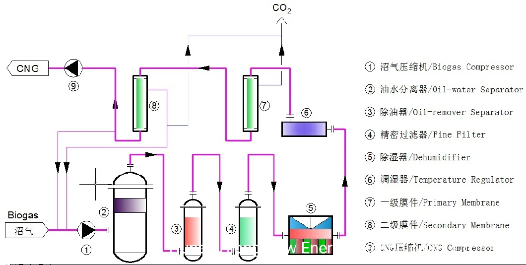 Biogas Membrane Separation Upgrading Decarburization Purification System to Natural Gas (CNG)