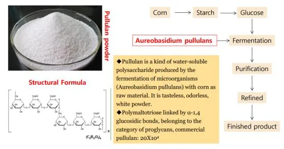 Food and Pharmaceutical Grade 9057-02-7 Pure Pullulan Powder for Confectionery and Capsule