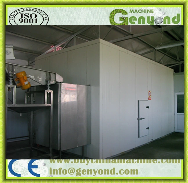 Stainless Steel Frozen Food Equipment