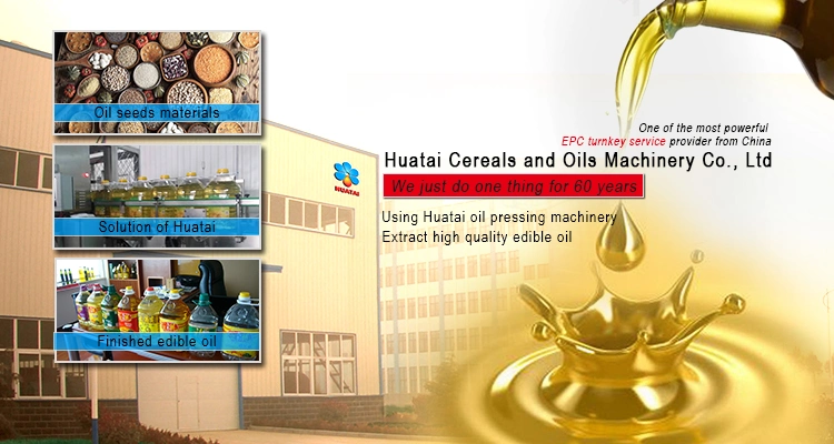 Oil Extractor Machine Manufacturer Sunflower/Soybean/Rice Bran Oil Machine Equipment Selling