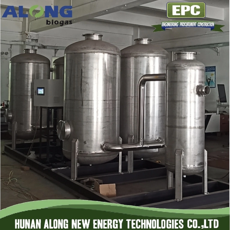 Skid Mounted Biogas Desulfurization Purification Clean System