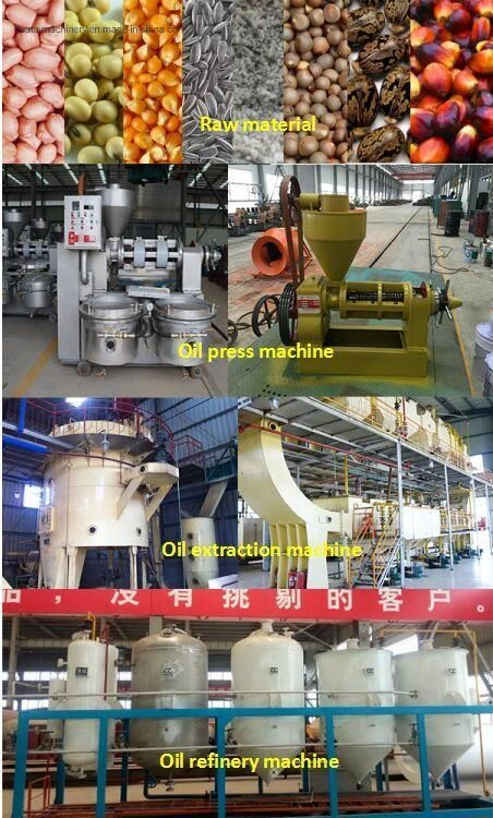 Oil Extractor Machine Manufacturer Sunflower/Soybean/Rice Bran Oil Machine Equipment Selling