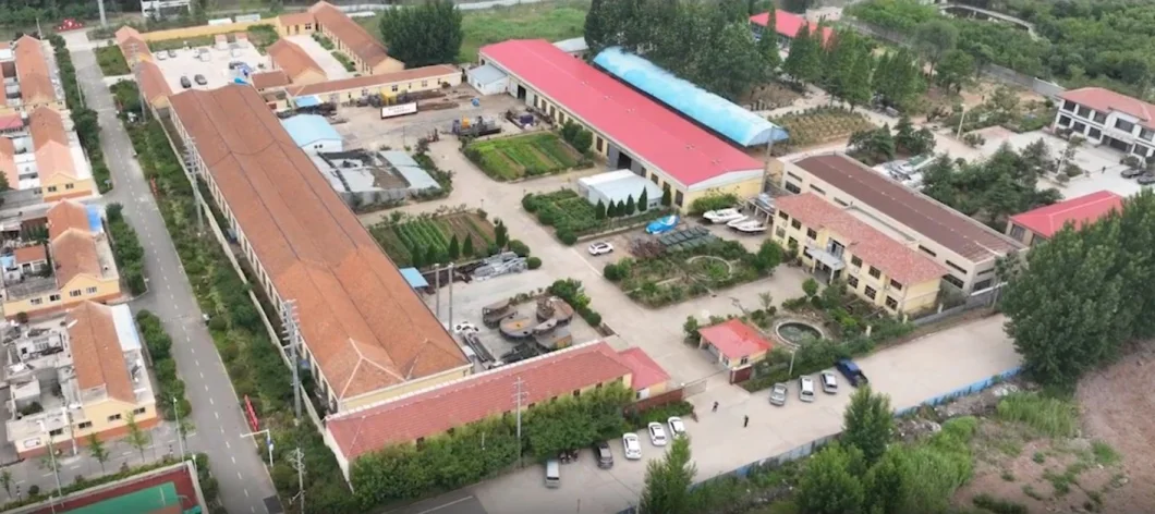 Biogas Plant Desulfurization Equipment for Sewage Water Treatment