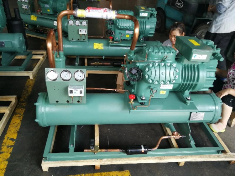 Sinocold Sc4yd-8.2 8HP Water Chiller Condensing Units with R22/R404A Compressor