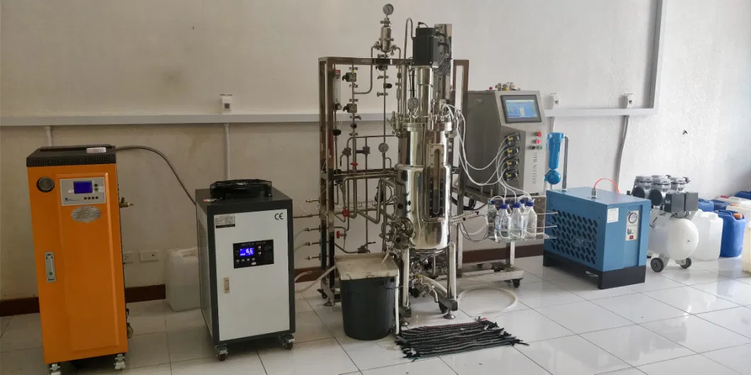 Stainless Steel Cone-Shaped Continuous Flow Bioreactor Long Cycle 1000L Fermenter Enzymes Production Automatic Chemical Dosing System