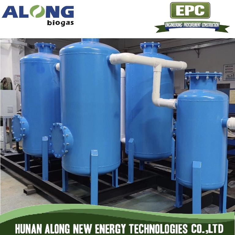 Skid Mounted Comprehensive Gas Sulphur H2s Desulfurization Biogas Treatment System