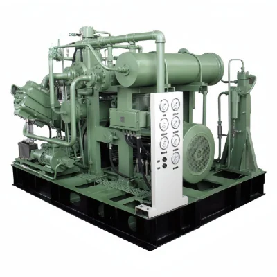 250 bar montati su pattini (25 MPa) Compressore a pistoni alternativi per gas naturale per sottostazione CNG