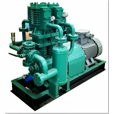 250 bar montati su pattini (25 MPa) Compressore a pistoni alternativi per gas naturale per sottostazione CNG