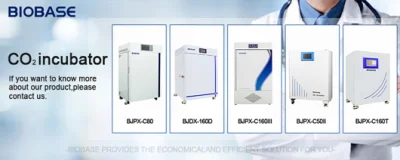 Biobase caldo acciaio inox chimico olio acqua bagno riscaldatore