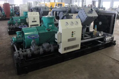 VWF-5.5/ (1.5-4) -7 Attrezzature per il potenziamento del gas naturale montate su pattini I tecnici professionisti del compressore del gas assistono nella selezione dei compressori