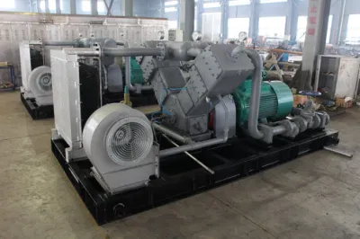 VWF-5.5/ (1.5-4) -7 Attrezzature per il potenziamento del gas naturale montate su pattini I tecnici professionisti del compressore del gas assistono nella selezione dei compressori