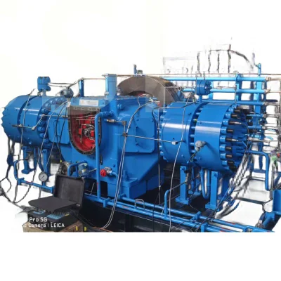 Compressore ad anidride carbonica a membrana alternata con cilindrata elevata (450 KW)