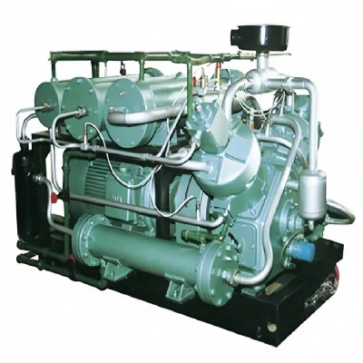 250 bar montati su pattini (25 MPa) Compressore a pistoni alternativi per gas naturale per sottostazione CNG