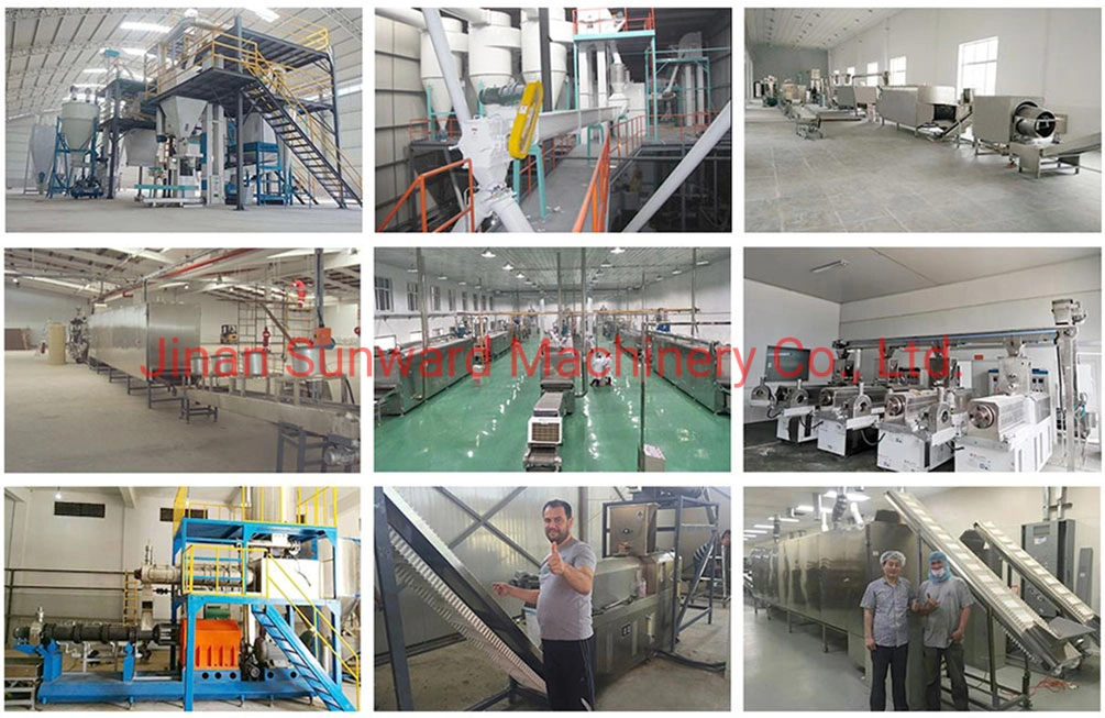 Automatic Fried Snack Food Processing Machines Line Equipment