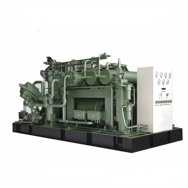 Skid Mounted Innovative Design Natural Gas Compressor with Gas Liquid Separated and Gas Recovery for CNG Wellhead