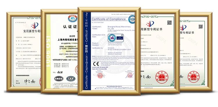 Reciprocating High Pressure D Type Natural Gas Compressor for CNG Filling Station