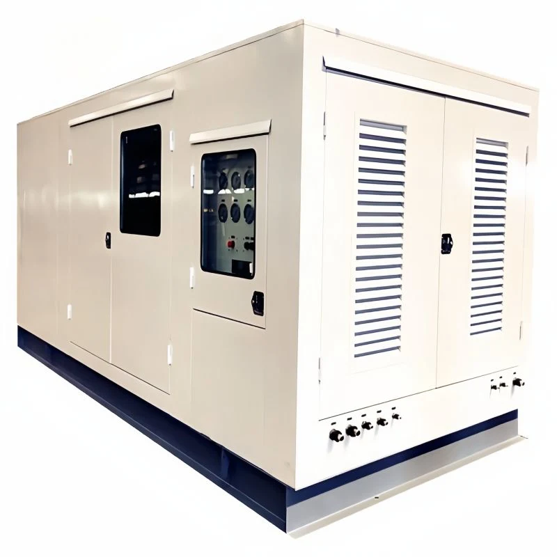 Skid-Mounted Well Gas Dry Gas Recovery and Treatment Device CNG Compressor