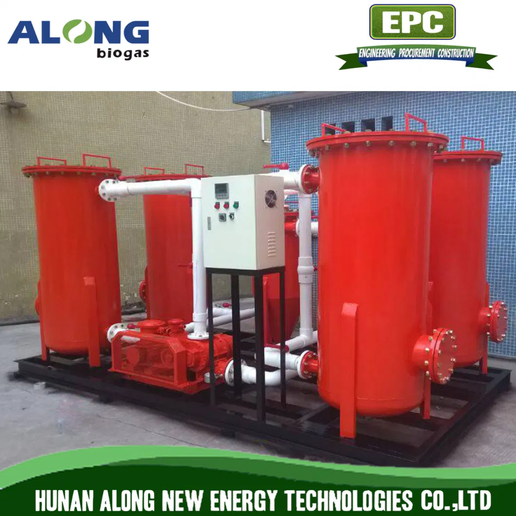 Skid Mounted Comprehensive Gas Sulphur H2s Desulfurization Biogas Treatment System