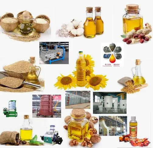 Hot Sale Solvent Herbal Evaporator Oil Press Machine Sunflower/Soybean/Coconut/Peanut Extract Equipment