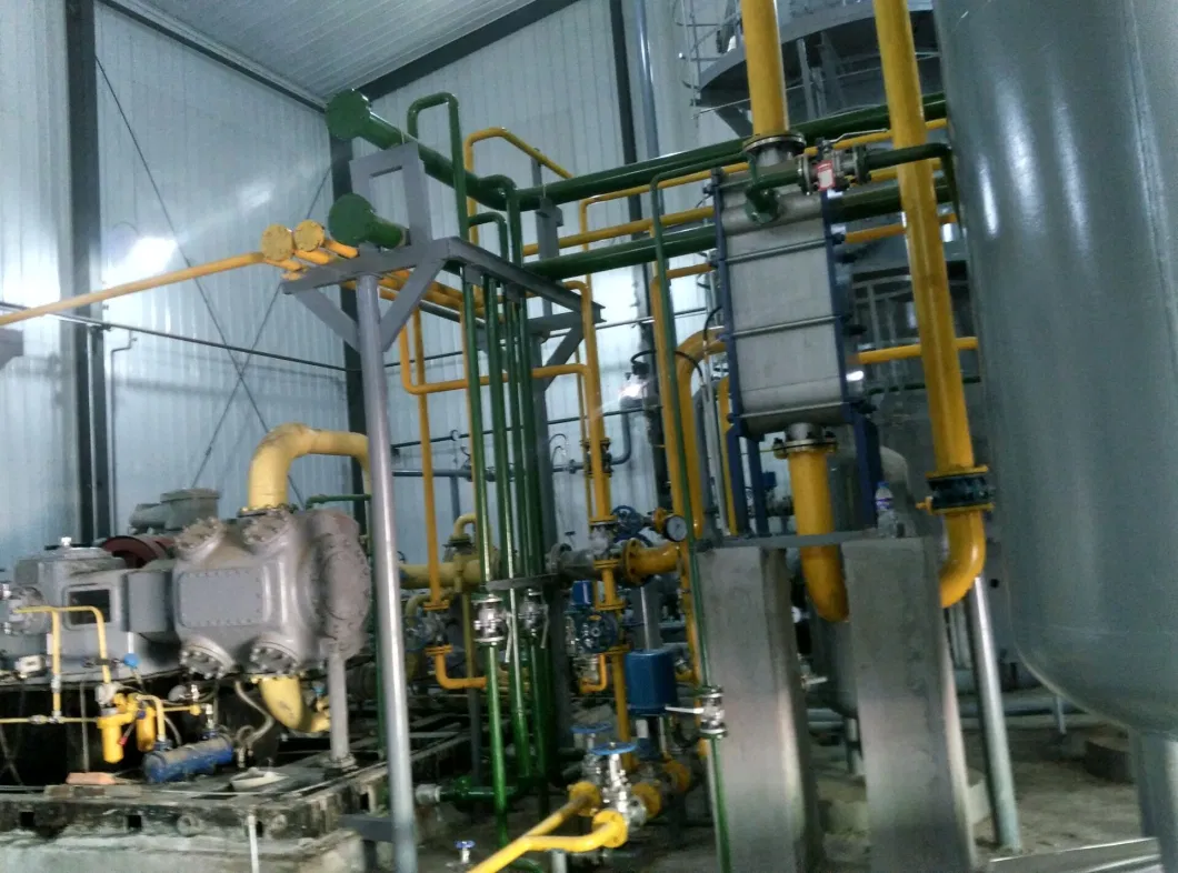 Biogas-Nature Gas Conversion Plant Upgrading/Decarburization/Purification System