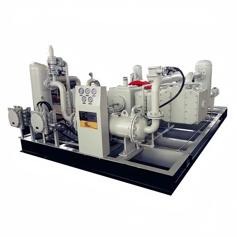 Skid-Mounted Well Gas Dry Gas Recovery and Treatment Device CNG Compressor