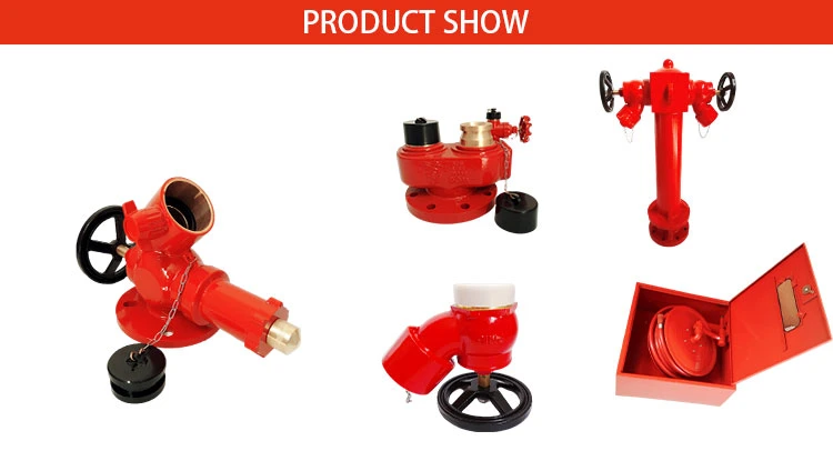 China Supplier 2 Way Breeching Inlet Fire Valve