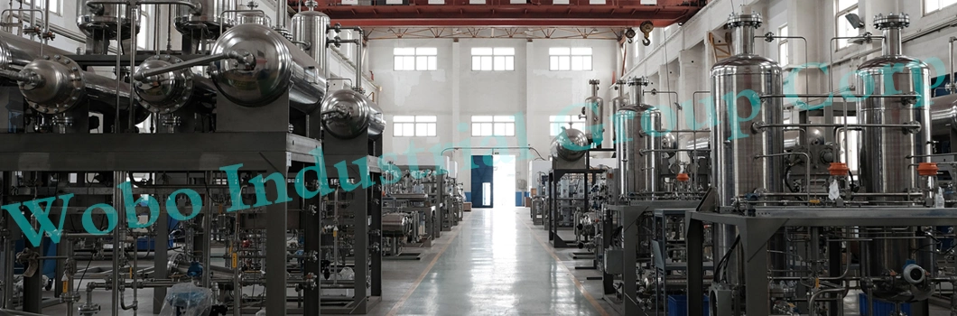 Industrial Hydrogen Electrolyzer Membrane Hydrogen Generation Plant