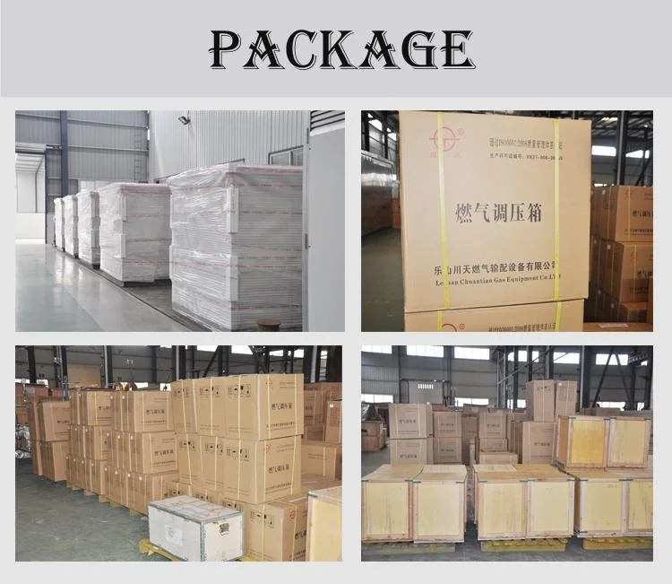 China 300nm3/H Chuantian Natural Gas Regulating Skid