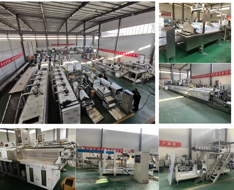 Soy Protein Texturized Meat Extruder Artificial Meat Production Machine Line Soya Nuggets Chunks Processing Plant